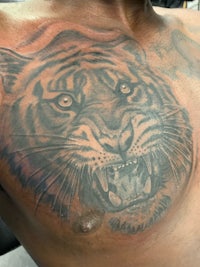 a man with a tiger tattoo on his chest